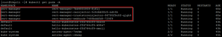 NSX 4.1 Application Platform (NAPP) – Part 2 Deployment