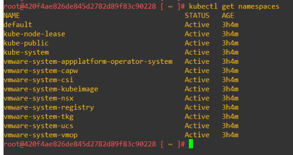 vSphere with Kubernetes on VCF 4.0.1 Consolidated Architecture – Part 2 – Supervisor Cluster