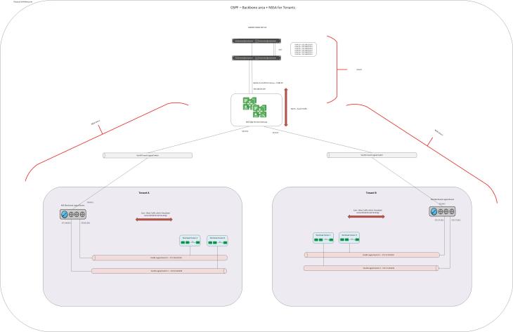 NSX_OSPF_NSSA